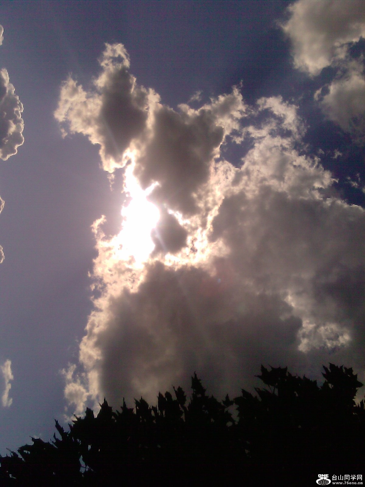 IMAGE_375.jpg
