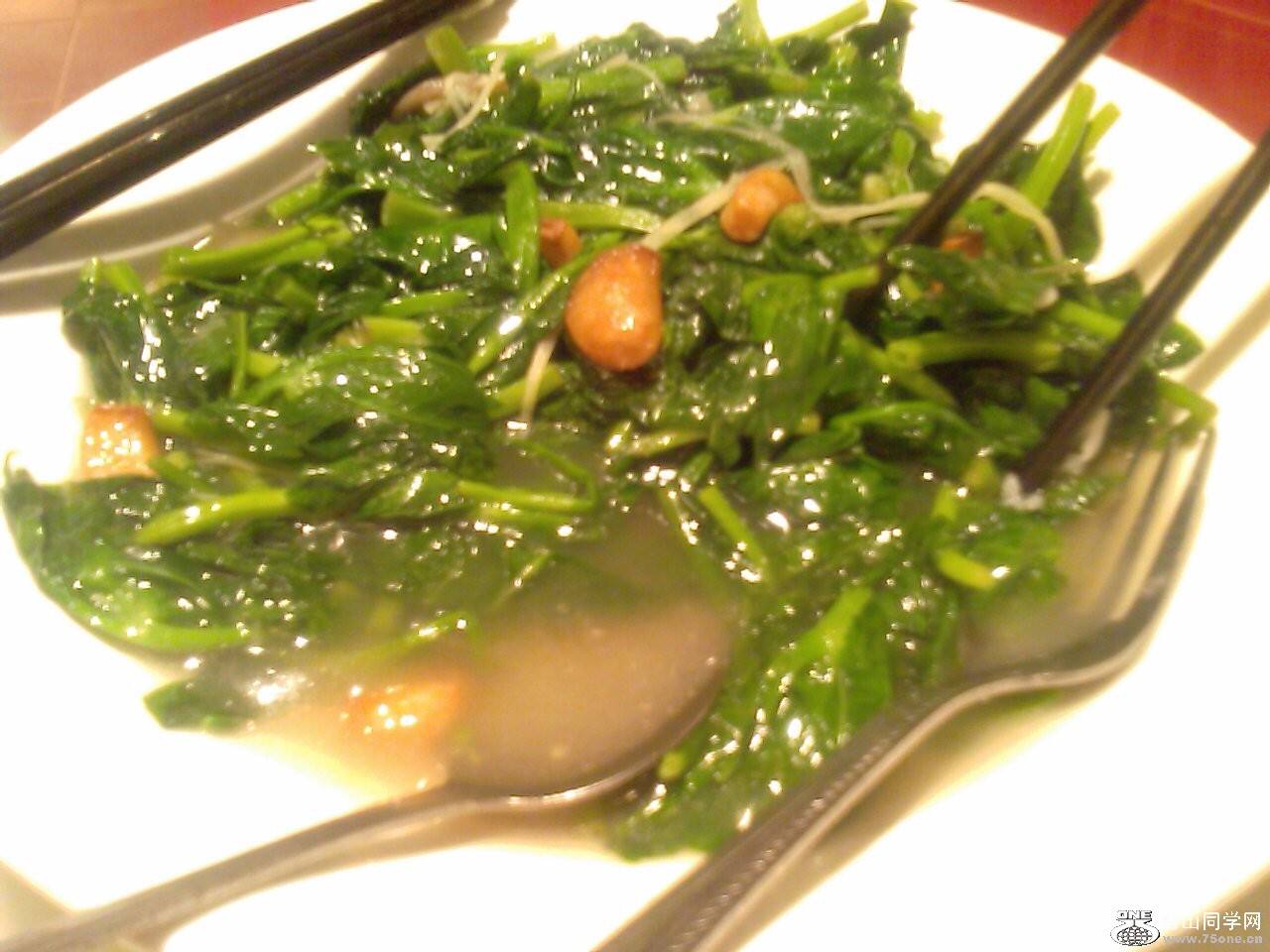 IMAG0489.jpg