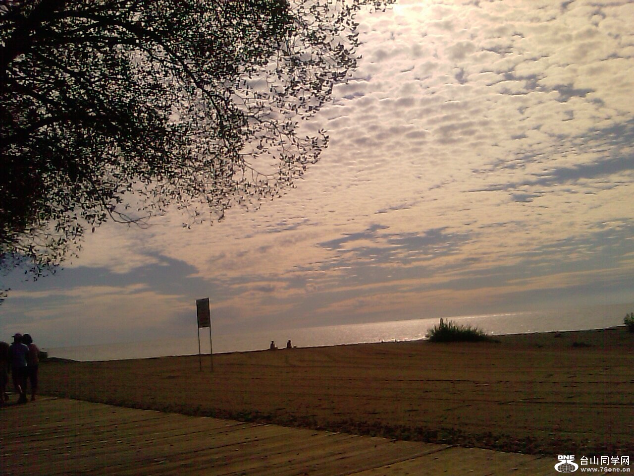 IMAG0460.jpg