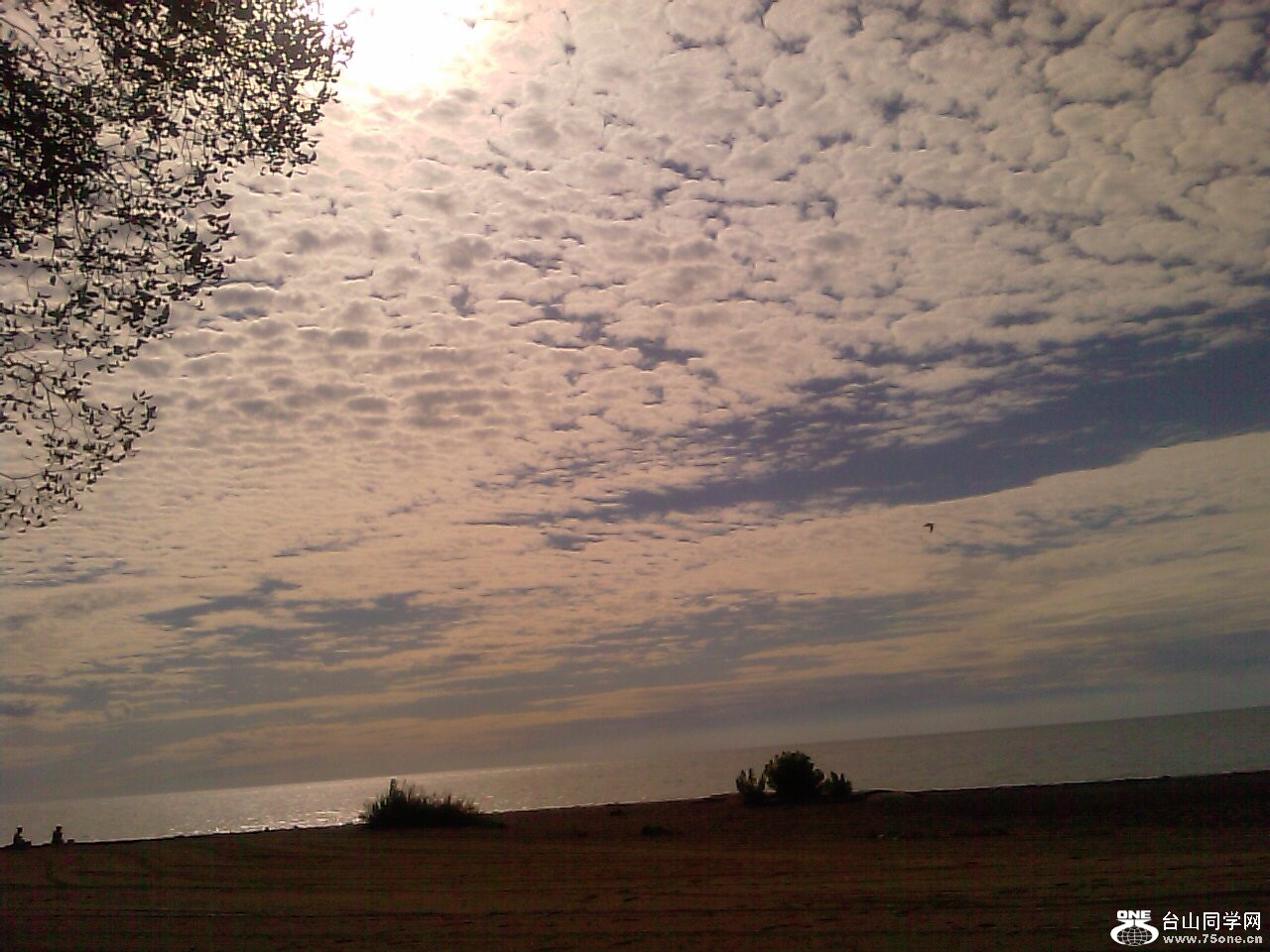 IMAG0459.jpg