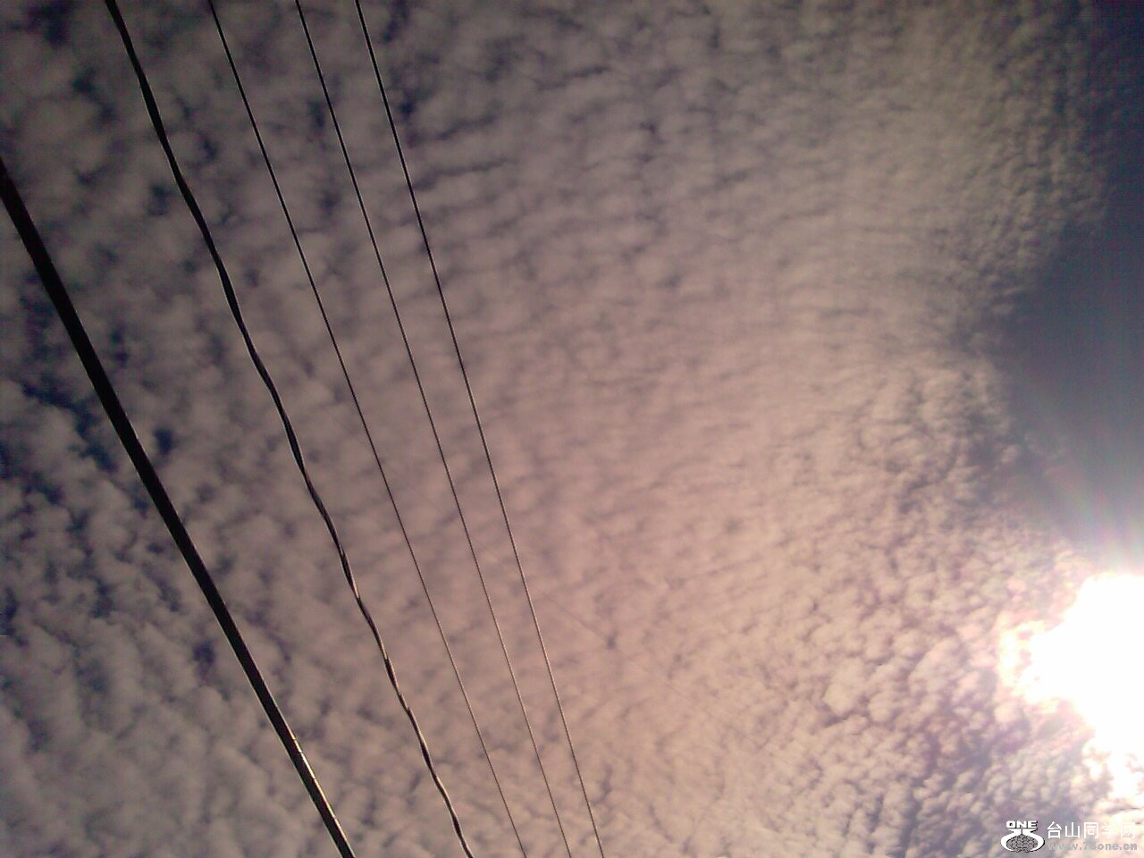 IMAG0458.jpg