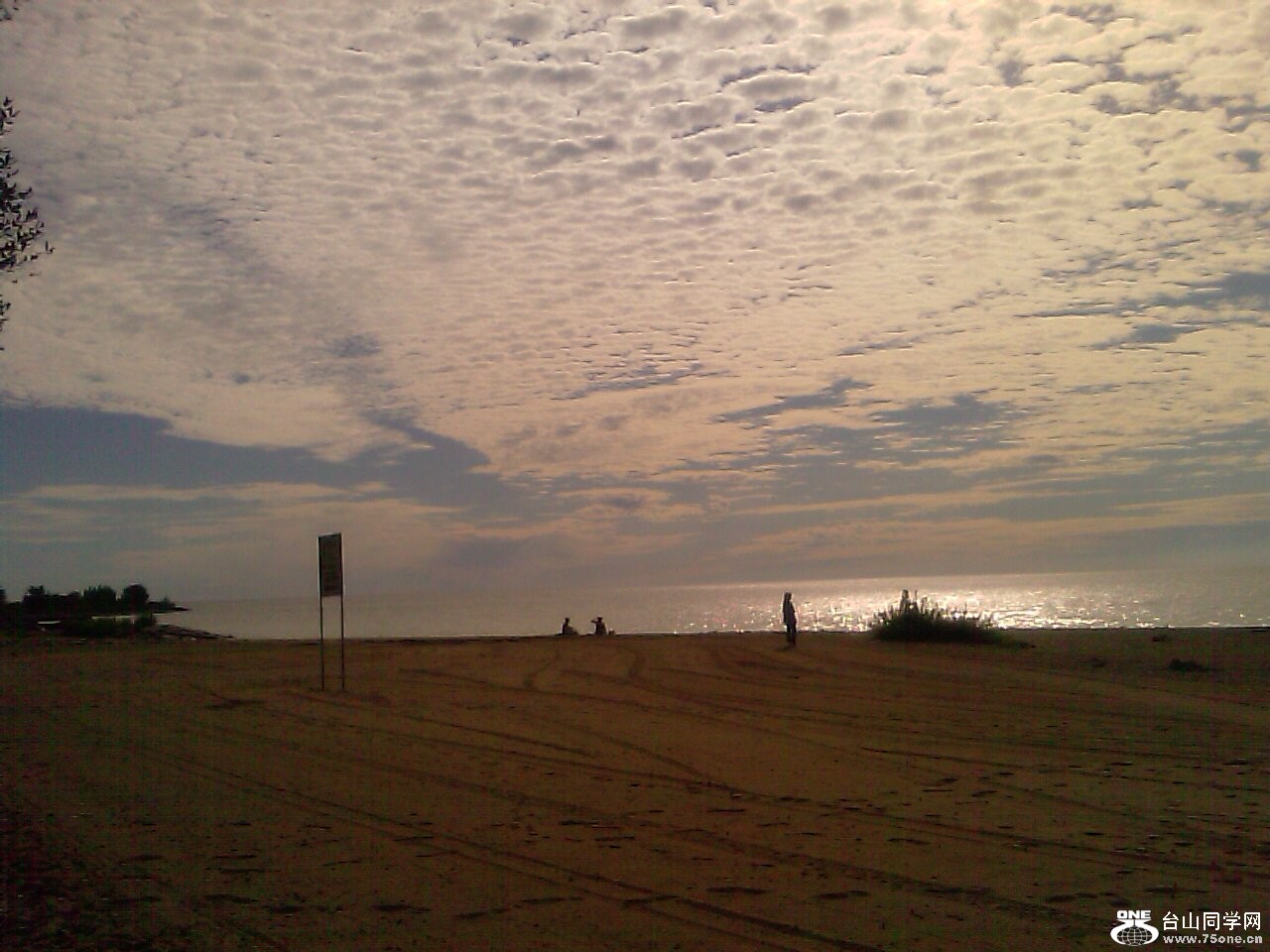 IMAG0463.jpg