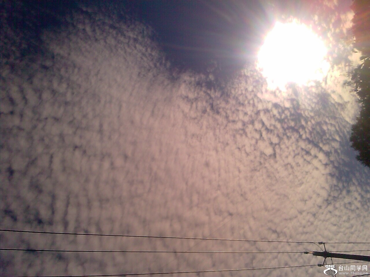 IMAG0457.jpg