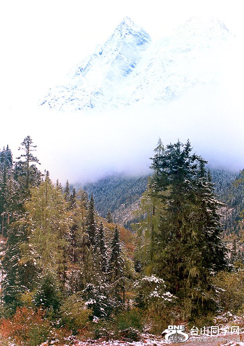 S28.jpg