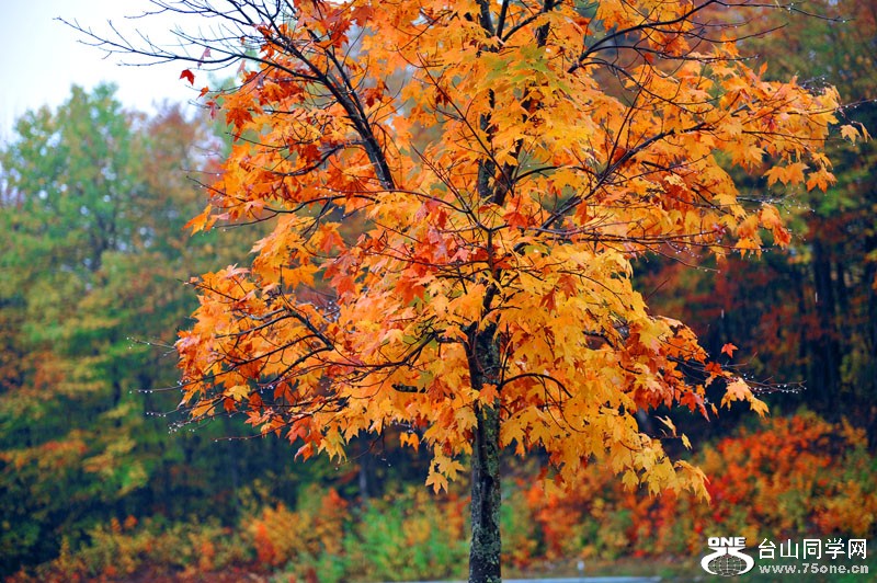 301_1369aa.jpg