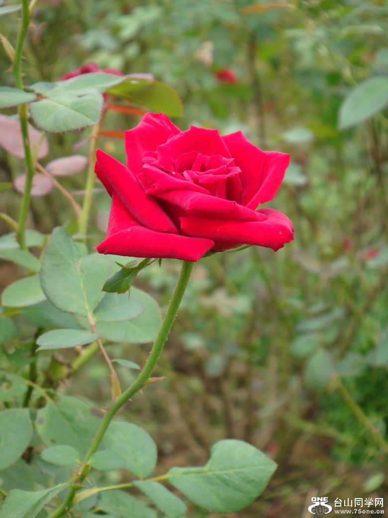 DSC05270.JPG