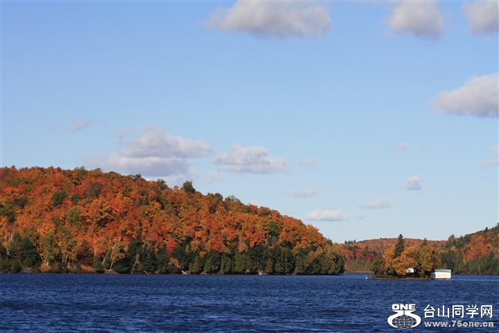 Picture 150 (Small).jpg