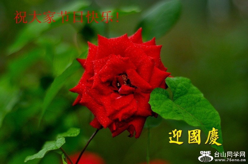 DSC_0168_����.jpg