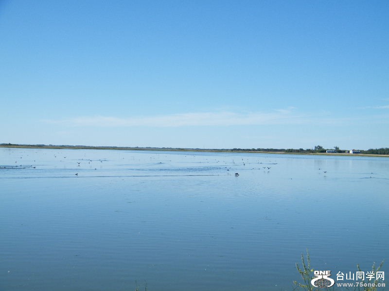 DSCF7811.JPG