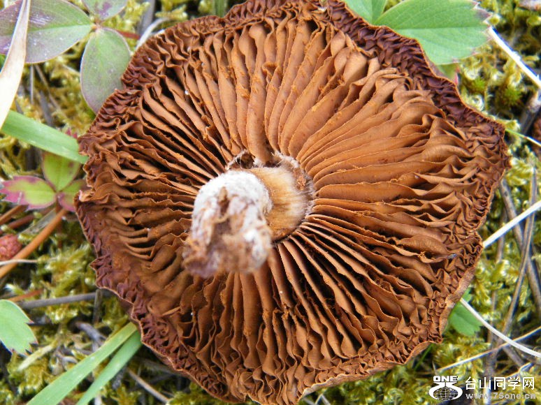 DSCF5883.JPG