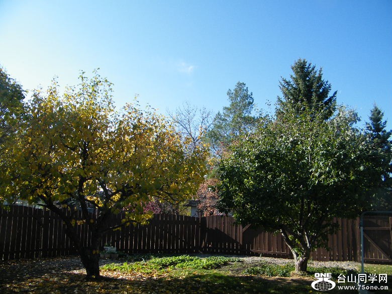 DSCF8910.JPG