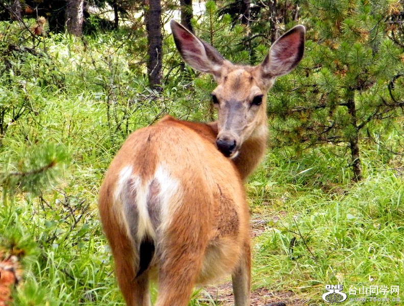 DSCF5935=.jpg