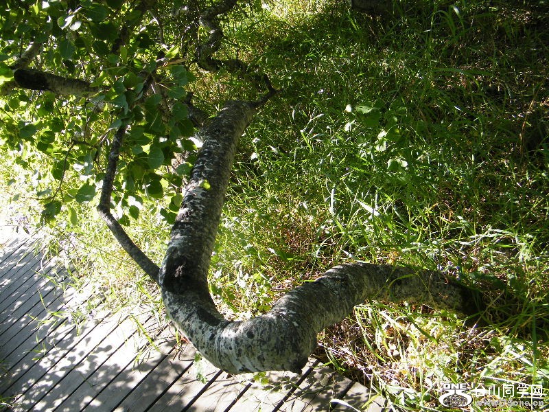 DSCF7881.JPG