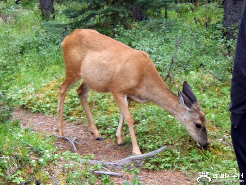 DSCF6071.JPG
