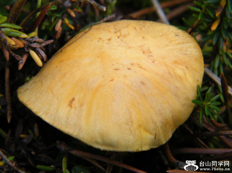 DSCF5870.JPG