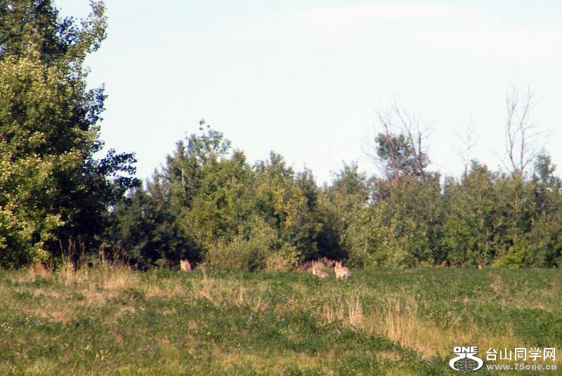 DSCF7855.JPG