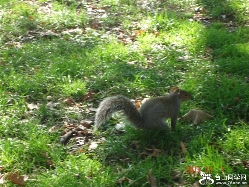 DSC02473.JPG