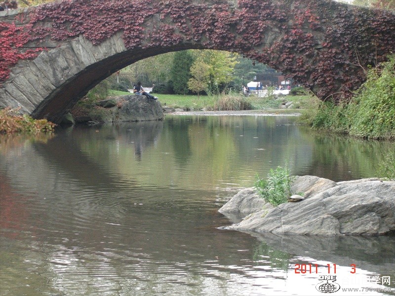 DSC02513.JPG