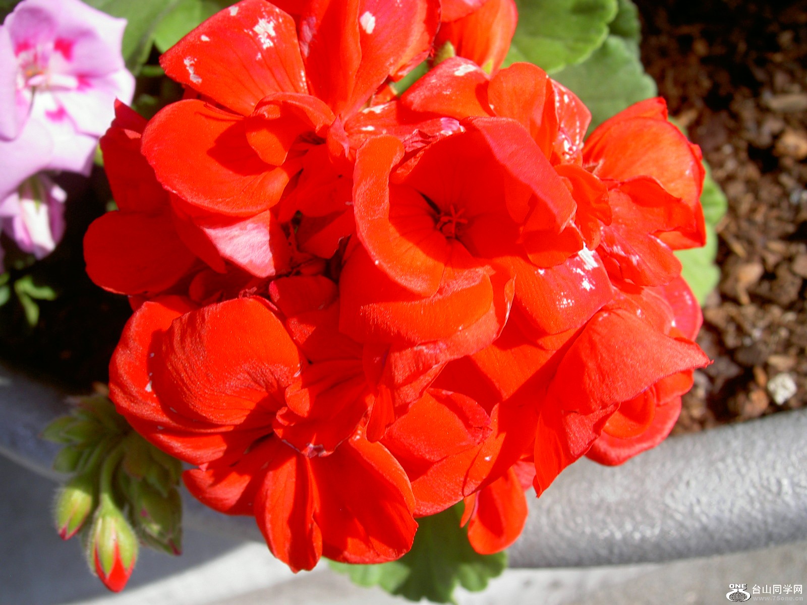 New Picture 1 064.jpg