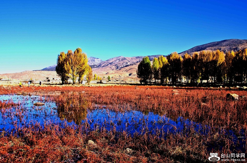 DSC_1591a.jpg