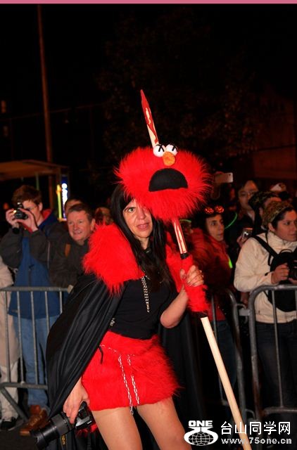 DSC_7355.jpg