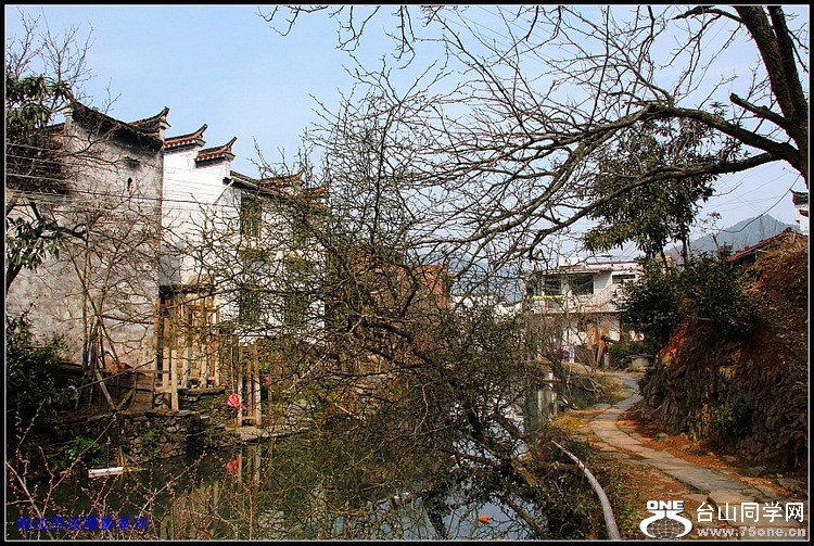 IMG_6463_conew1.jpg