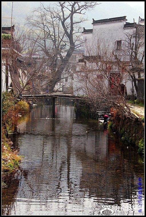 IMG_6360_conew1.jpg