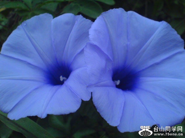 DSC01377.JPG