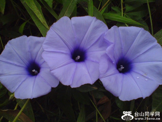 DSC01376.JPG