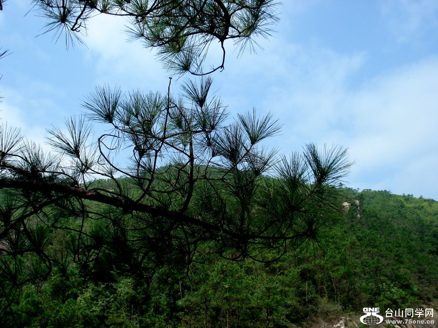 DSC05521.jpg