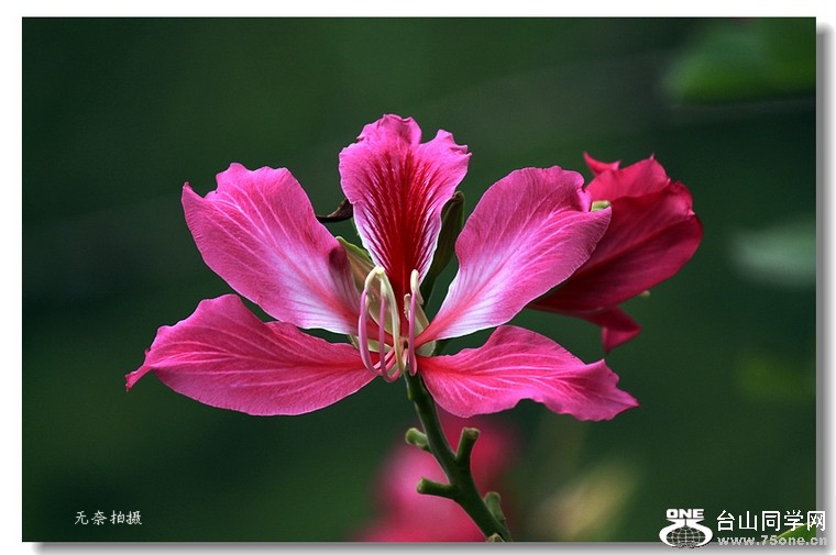 IMG_4841A.jpg