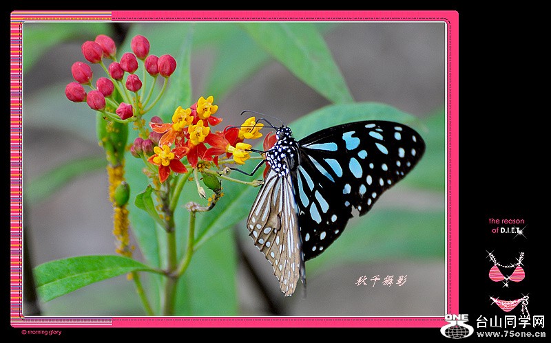 DSC_0051.jpg