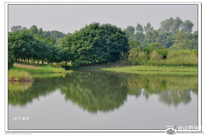 DSC_0009.JPG