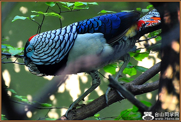 dsc_8686.jpg