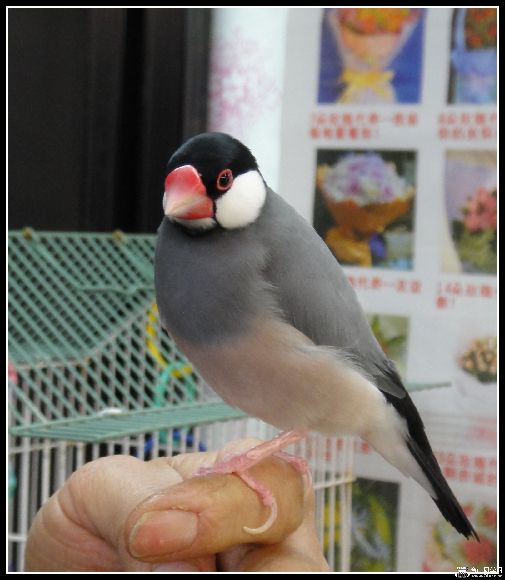 DSC07816.JPG