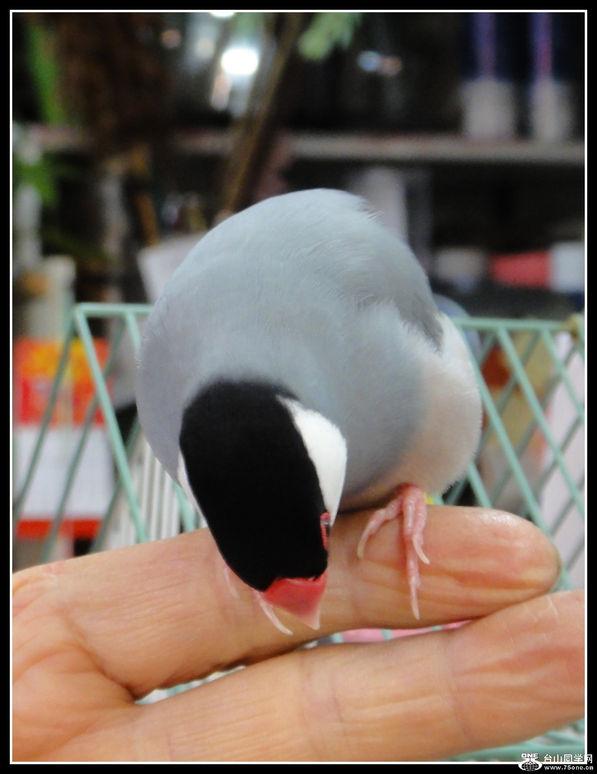 DSC07814.JPG
