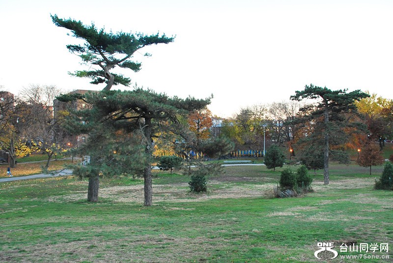 003_33.jpg