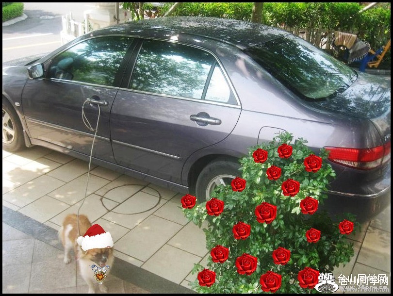 03_conew75.jpg