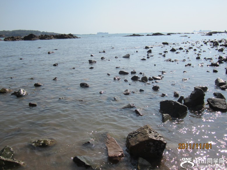 山东、大连 1200_conew1.jpg