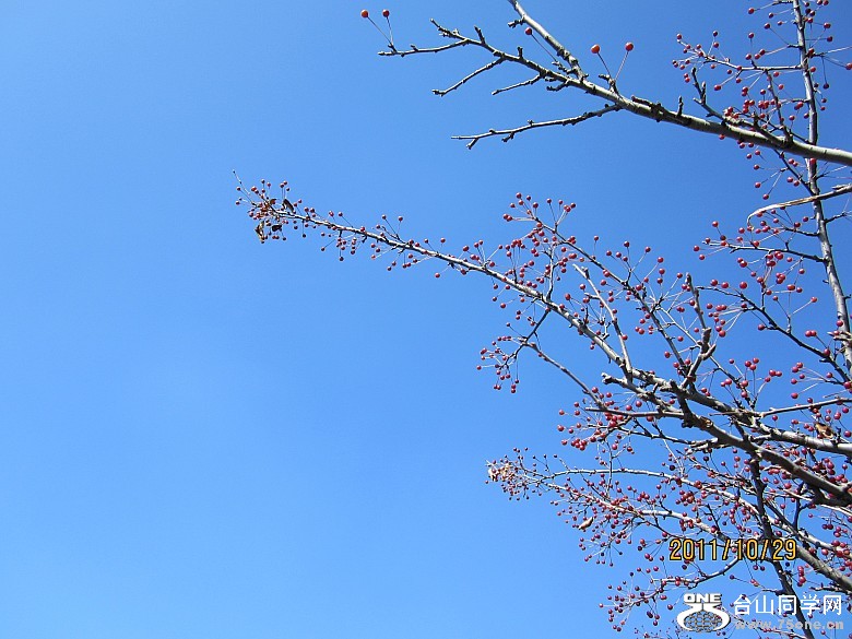 山东、大连 450_conew1.jpg