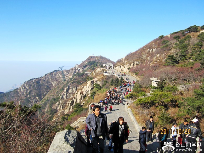 山东、大连 347_conew1.jpg