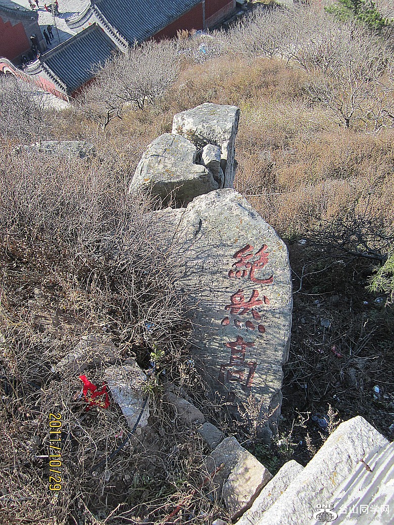山东、大连 372_conew1.jpg