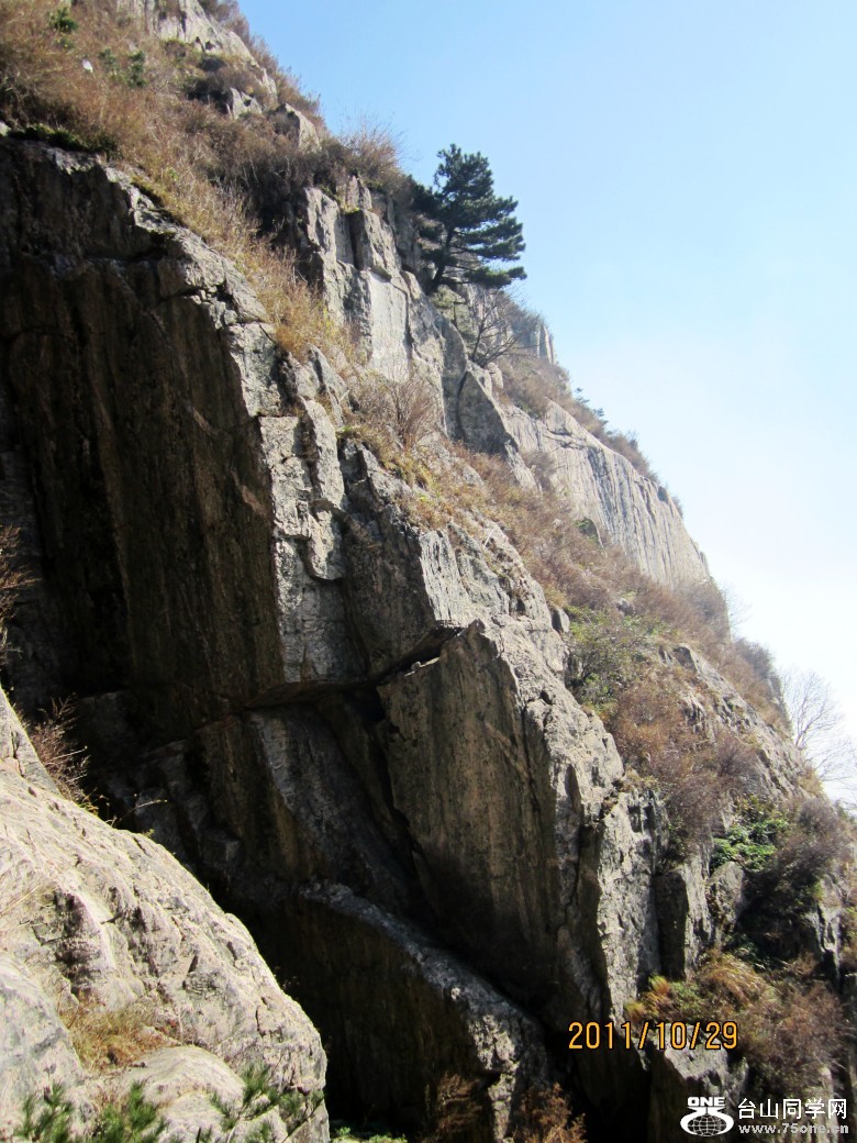 山东、大连 458_conew1.jpg