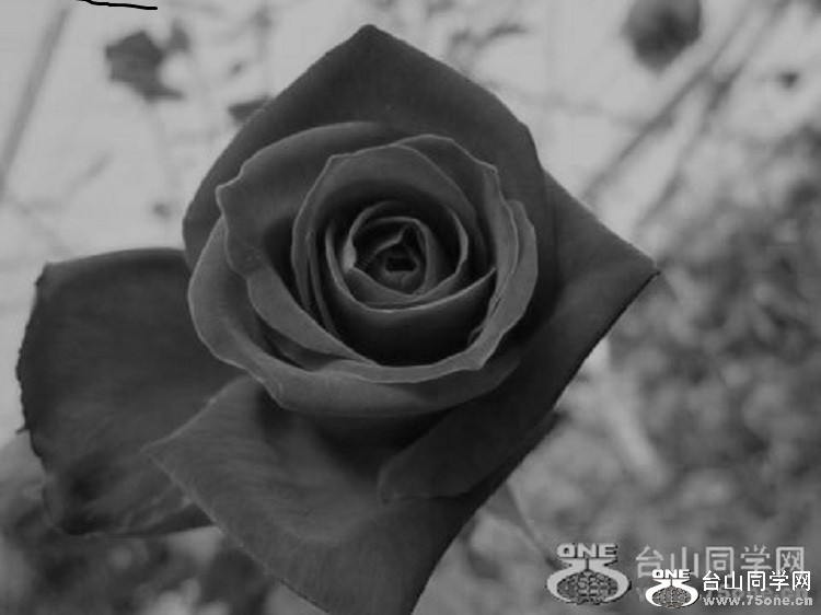 ҵõ@-һ-6-8.jpg