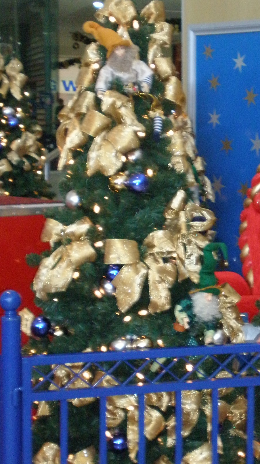 PC060074.JPG