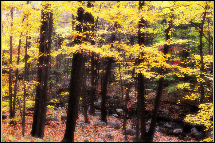 DSC_0595.JPG