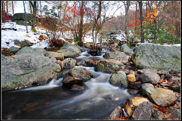 DSC_0534.JPG