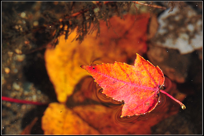 DSC_5173.JPG