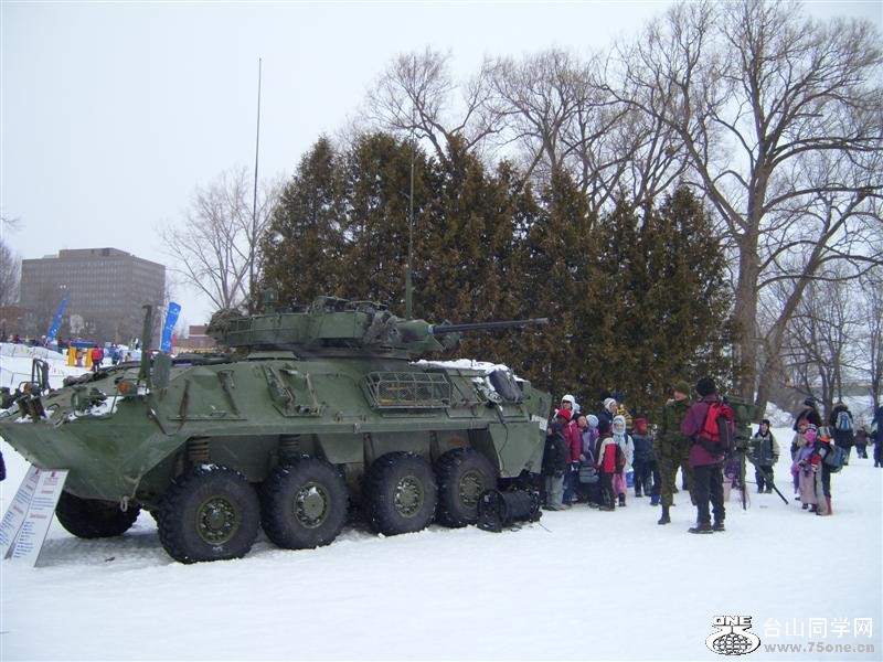 Picture 582 (Medium).jpg