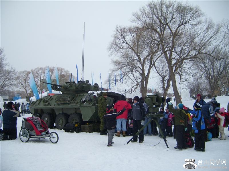 Picture 562 (Medium).jpg
